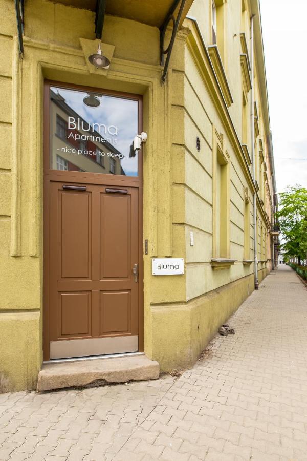 Bluma Краків